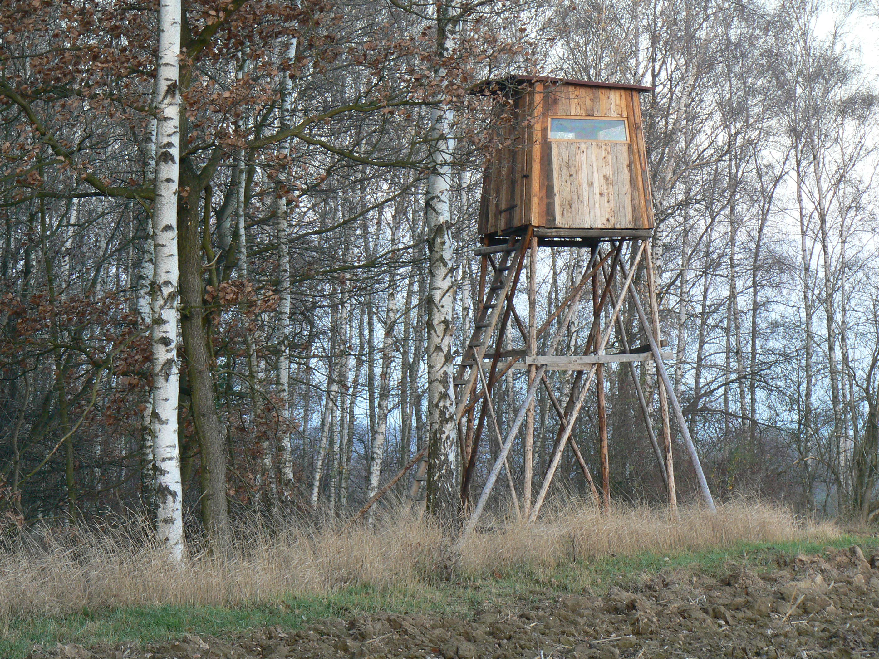 P1080965