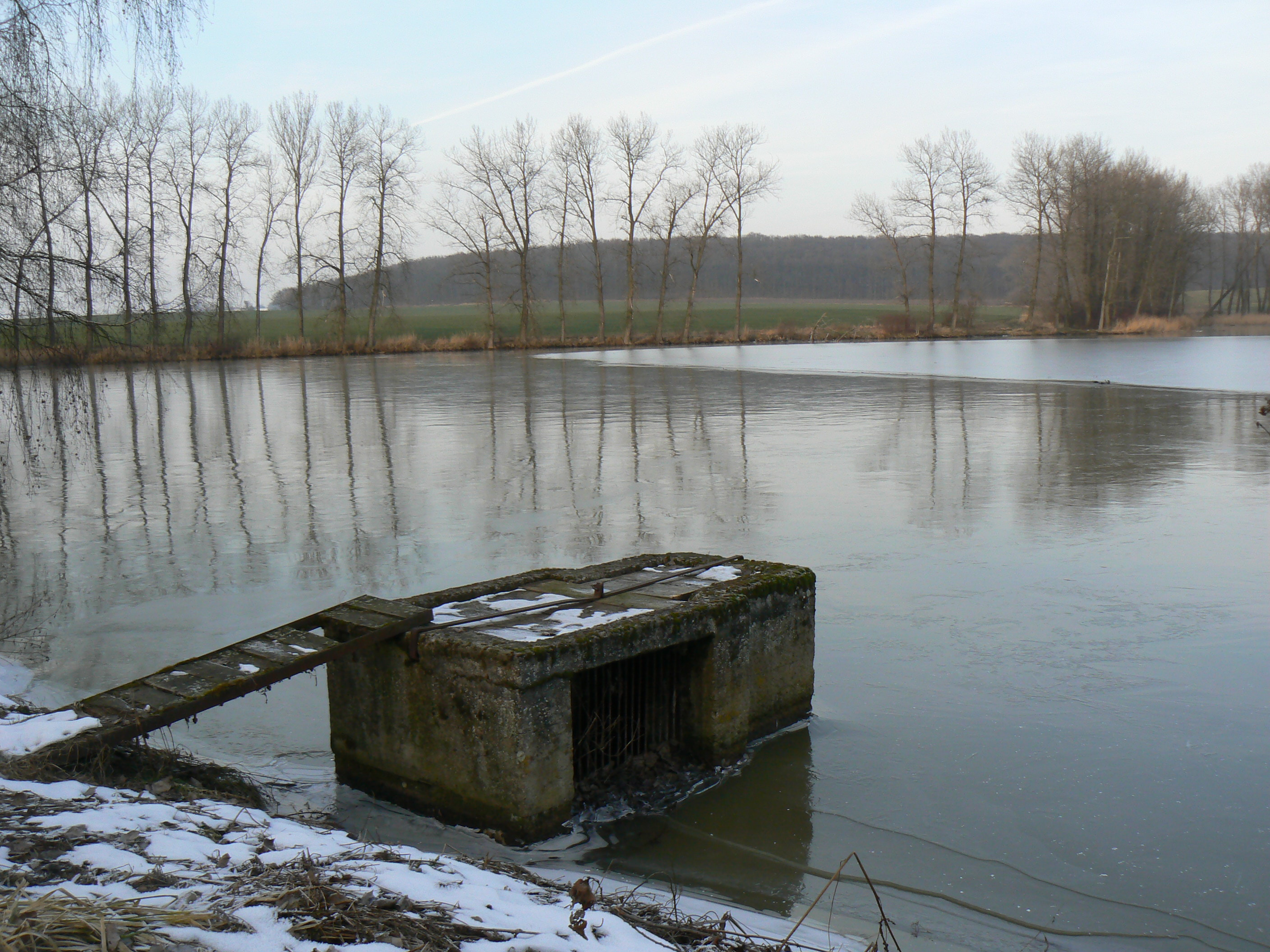 Liběšický velký rybník-jaro